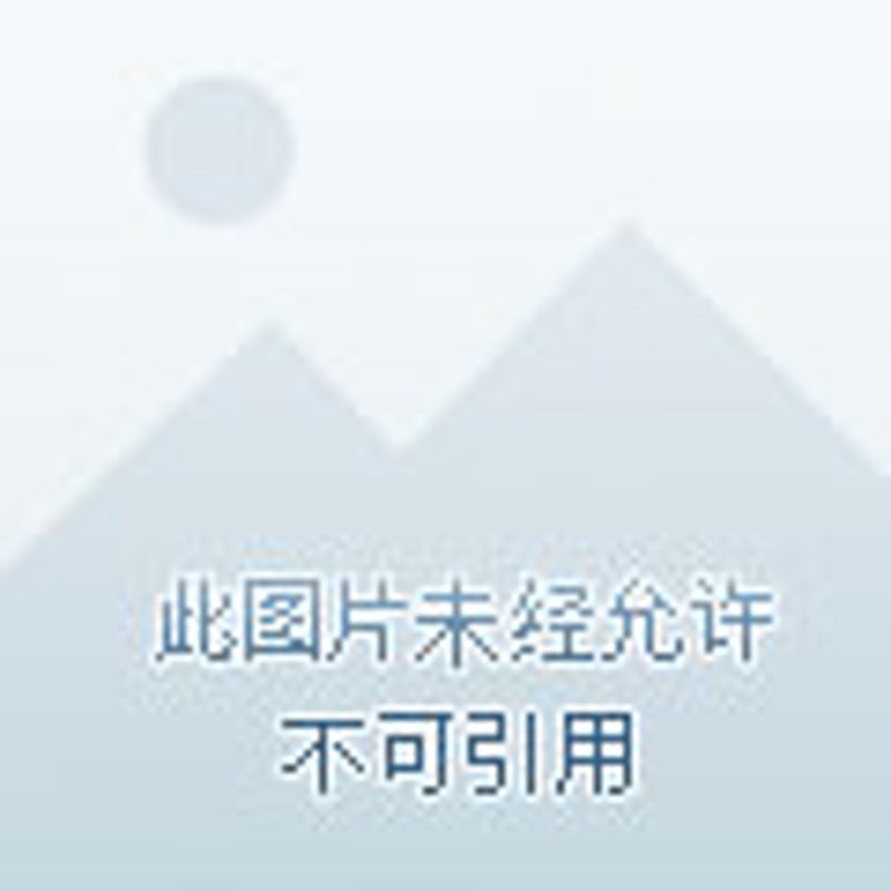 在今天的全球经济舞台上，大宗商品交易平台如同一颗璀璨的明星闪耀着它的光芒。什么是大宗商品交易平台？它不仅为各类商品提供了交易场所，还为投资者和企业搭建了桥梁。
